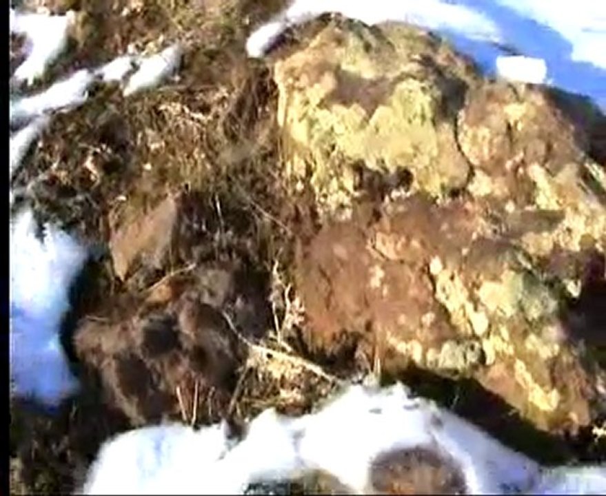 tatvan keklik avlarından