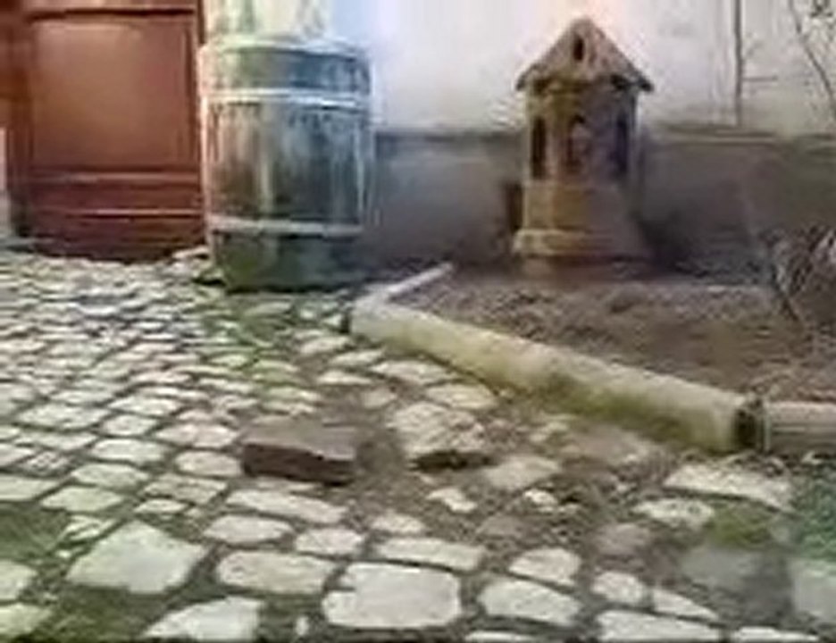 crawler HSP avec carrosserie New bright