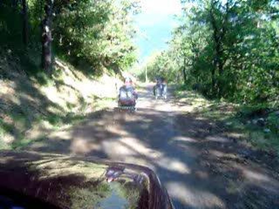 crash caddie jackass