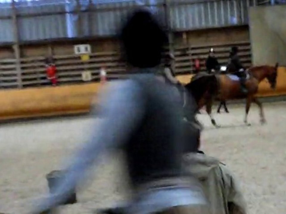 Videos le 09.01.11 016