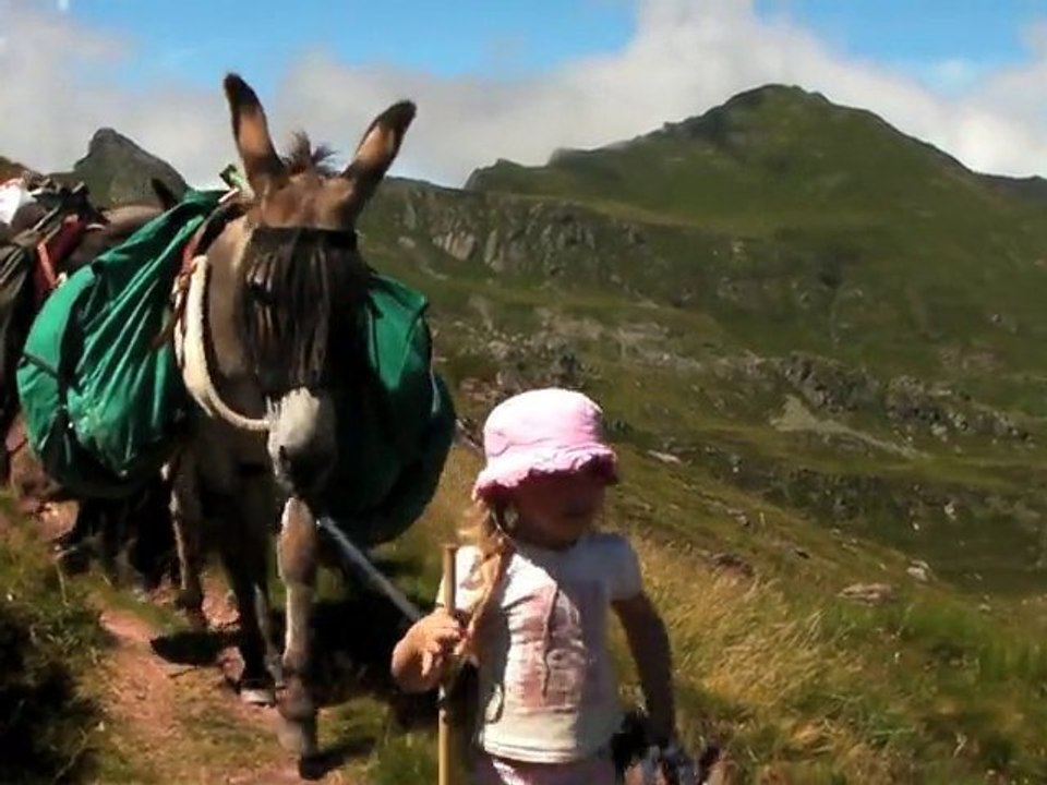 Balade dans les pyrénnée avec des anes