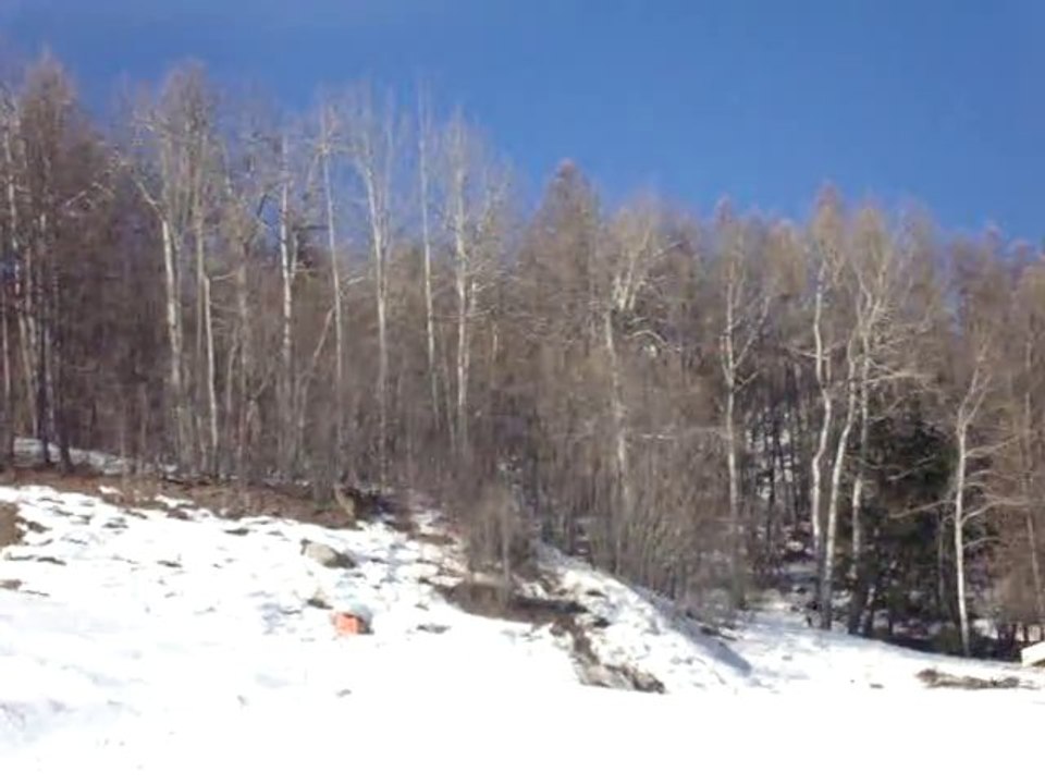 2011 La chute de Sandy