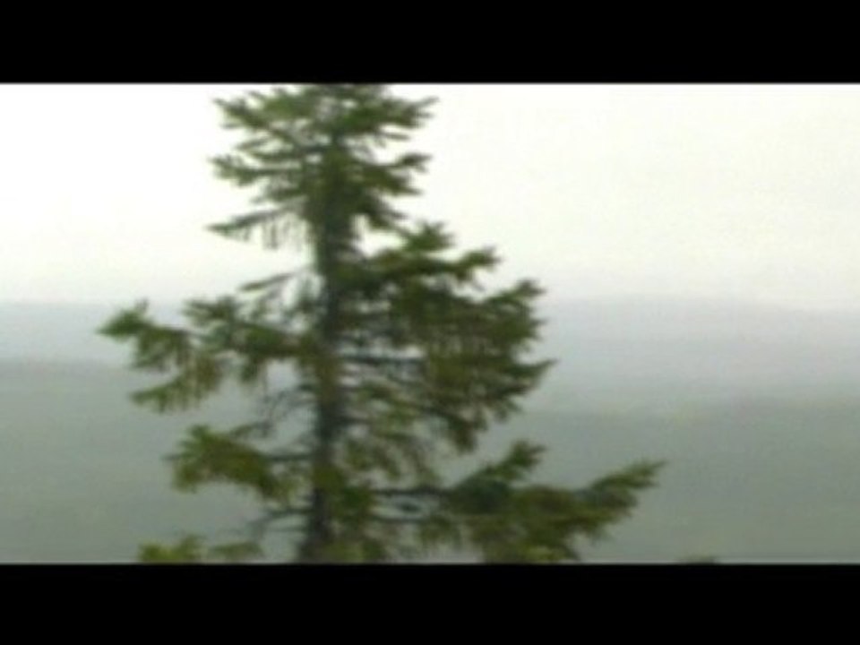 Sakta går ett ljus upp