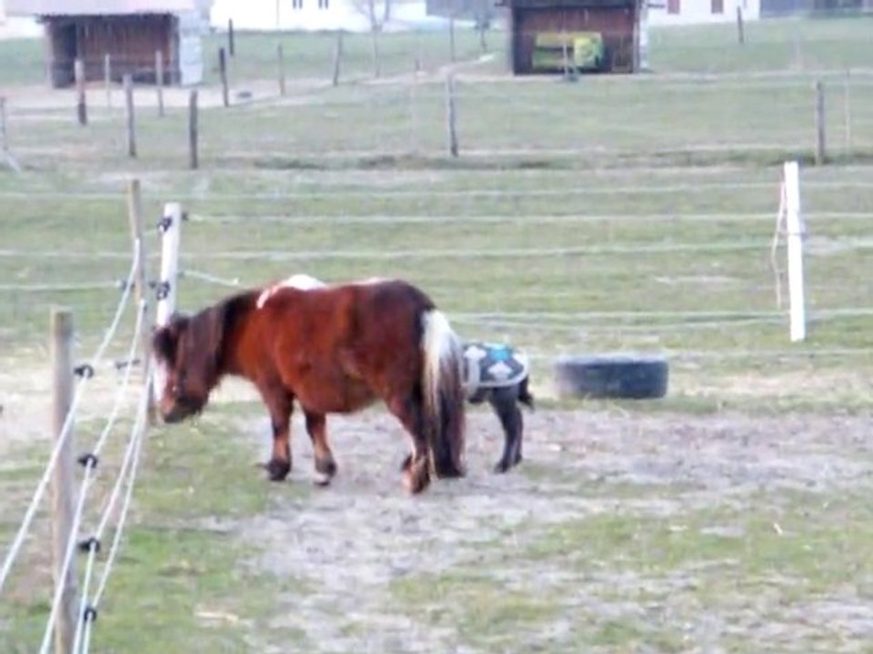 Bandito 23 janvier 2011