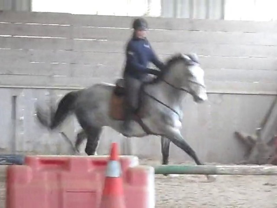 Cours Isa et Pantcho 23.01.10
