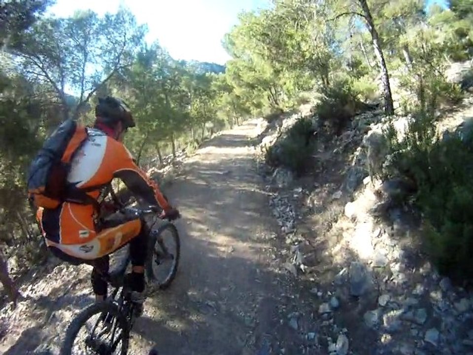 Ricote - Entre pinos...