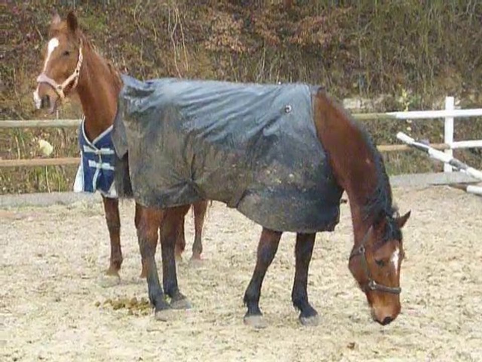 Quinfoot et Quartz - La récré