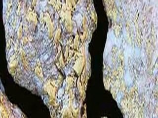 How to Find a Quarter Ounce of Gold per Day