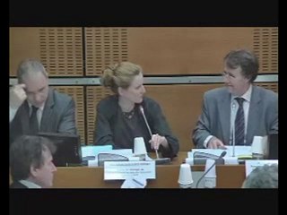 Audition de Nathalie Kosciusko-Morizet  Assemblée Nationale