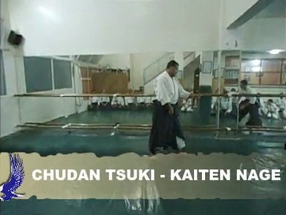 AÏKIDO - Chudan Tsuki Kaiten Nage