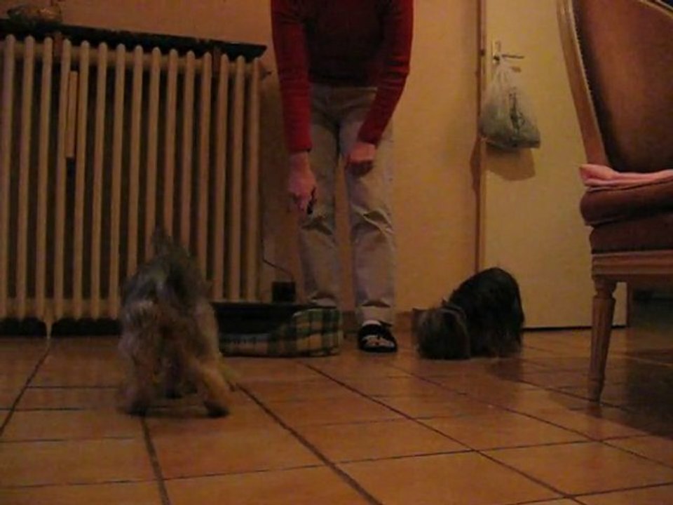 CHALLENGE Nr3_Ter