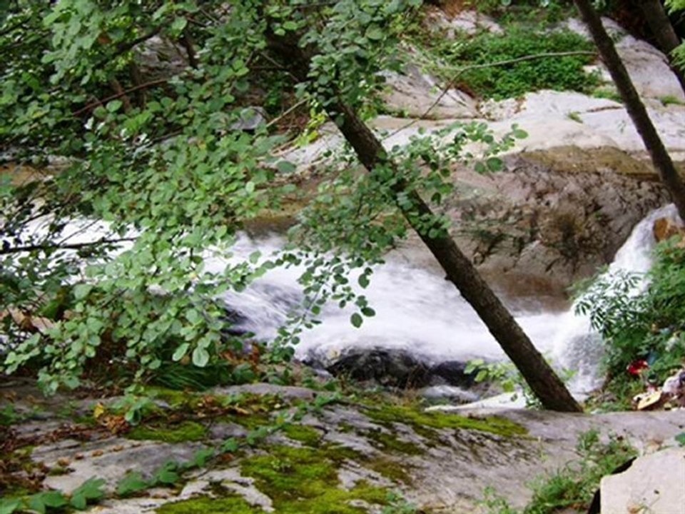 Doğankent Doymuş Köyü-2010