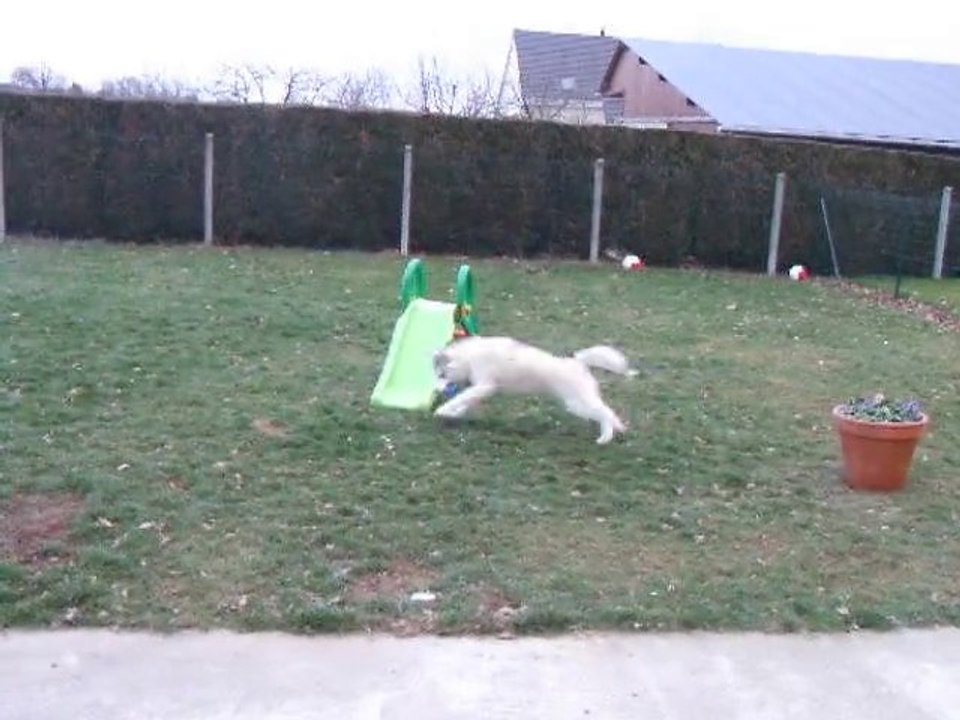 Quart d'heure de Folie pour Fendy