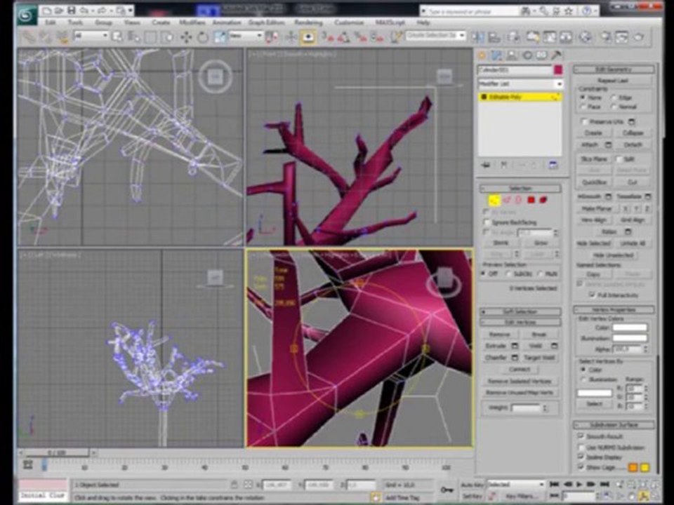 Projet Dispersion modelisation arbre