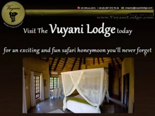 Exciting Safari Honeymoon