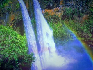 Walter Wild Escape From Paradise 4url