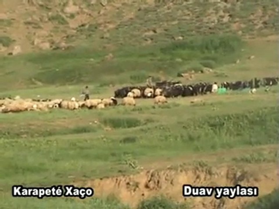 Karapete Xaço Duav Yaylası