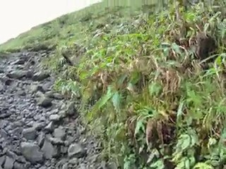 Montagne Pelée-caldeira