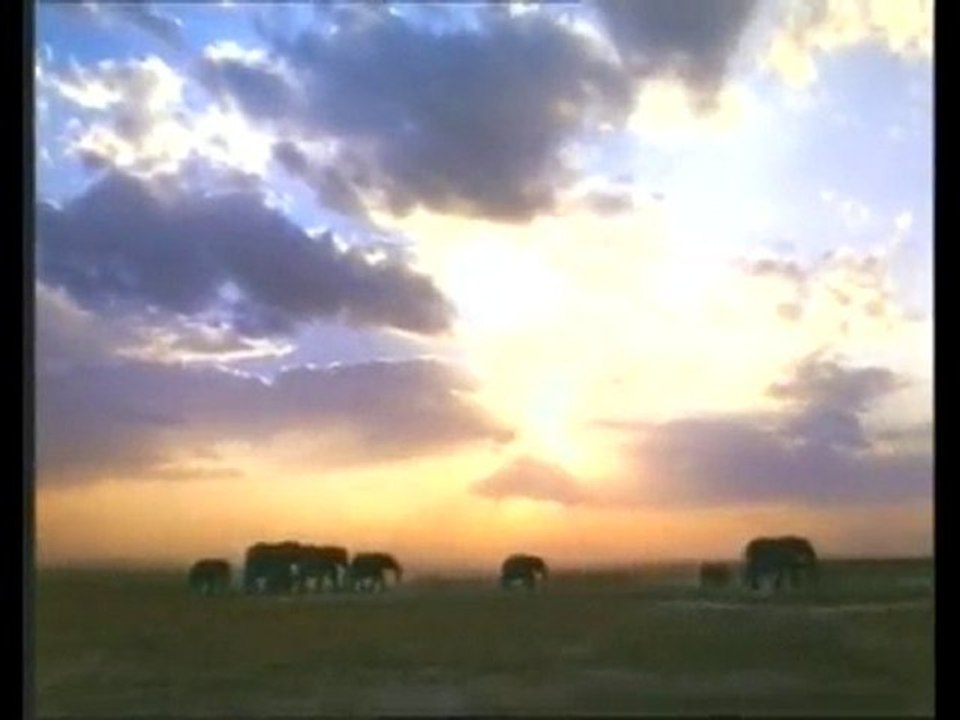 Fillerde sessiz iletişim SUBHANALLAH MAŞAALLAH