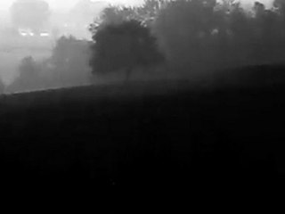 Letters Written on Dead Leaves