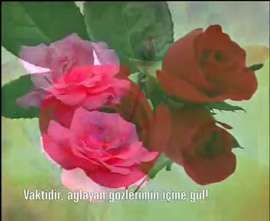 Kırık Mızrap Klipleri 02 - Medinenin Gülü