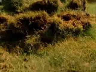 stonehenge apocalypse; incipit