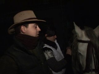 Baptism of fire for Spanish horses