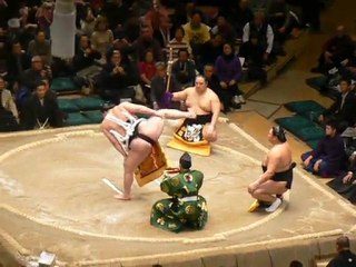 Yokozuna