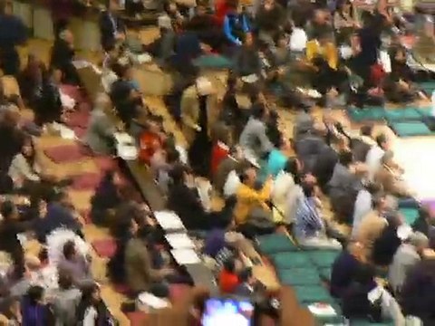 3 ptits chats, 3 ptits chats, 3 ptits chats chats chats !!