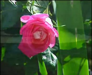 Kırık Mızrap Klipleri 06 - Herşey Sen'den