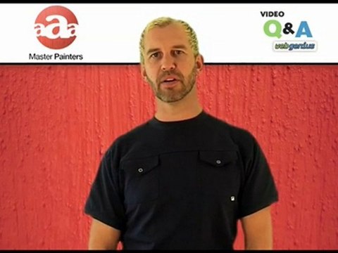 Roof painting Wellington, roofing paint colours Porirua