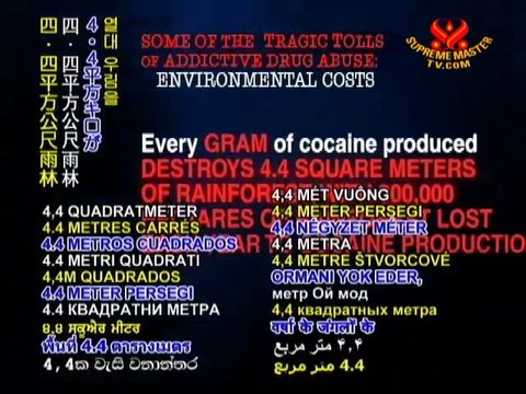 The Only Way to a Sustainable Planet: Be Vegan - P5/5