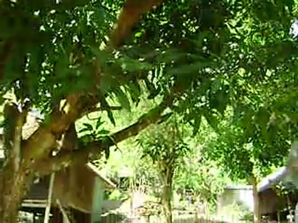 fisher man guest house