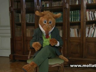 Stilton Geronimo - Le royaume des dragons