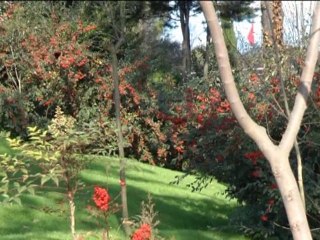 Emirgân Jardins du Musée Sabanci