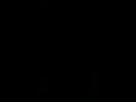 BRO GOZH, Hymne national breton (version MELENNEC)