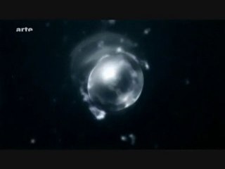 Life - L'aventure De La Vie - Stratégies De Survie 1