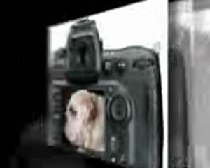 nikon digital slr cameras