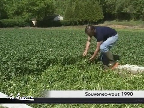 La culture du cresson en 1990 (Essonne)