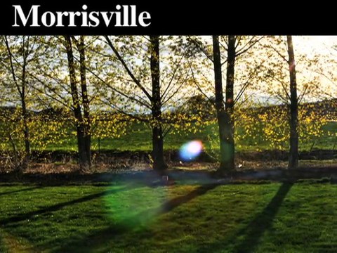 Emergency Tree Removal Service | Morrisville-Yardley,PA