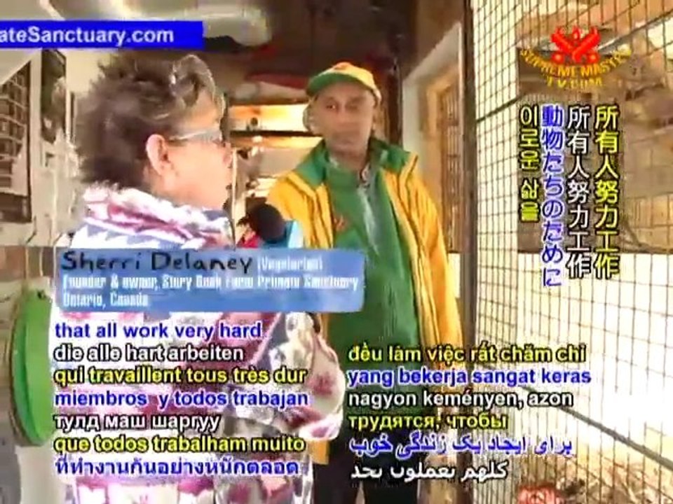 Happily Ever After at Story Book Farm Primate Sanctuary, P1/