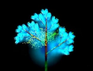 Gülben Ergen - Tam Ortasındayım