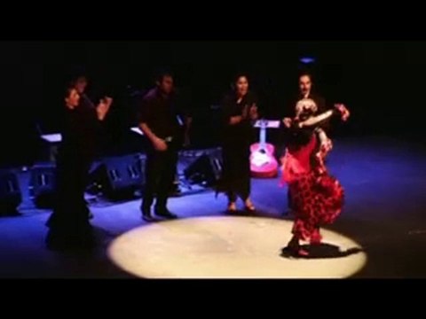 LA LUPI (Fin de Fiesta por Bulerias 1)