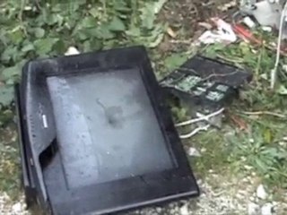 Fête des Morts 2010, j'ai filmé un cadavre