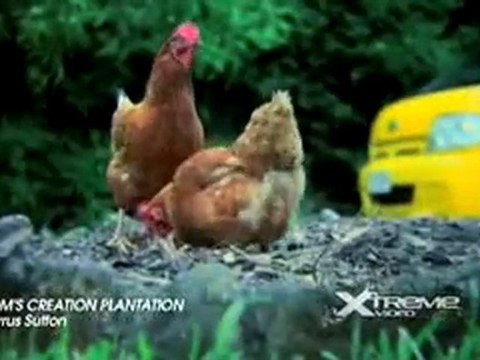 //103// ASP Snapper Rocks / DVD Teaser / Adventure Division