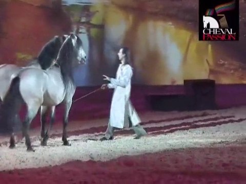 Festival Cheval Passion 2011 (Avignon)