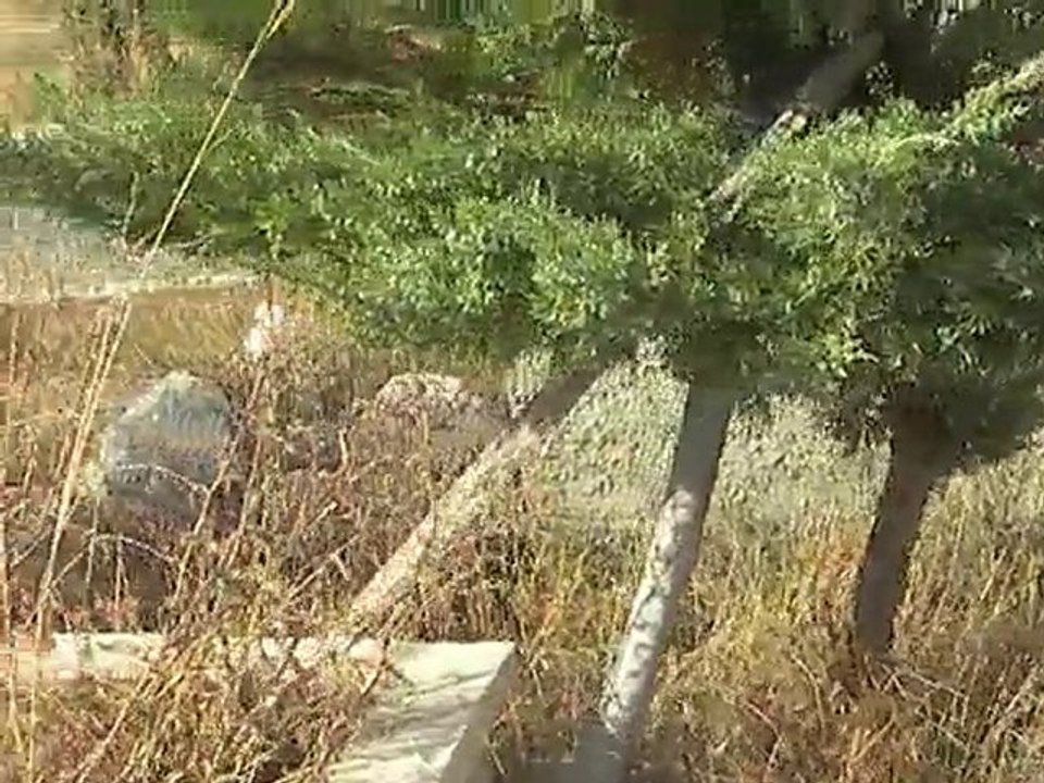 BUGRALAR KÖYÜ MEZARLIĞI