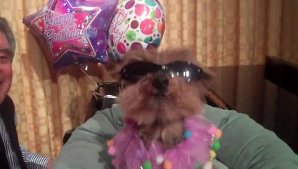Schmitty Sings Happy Birthday To Betty White - Sorta!