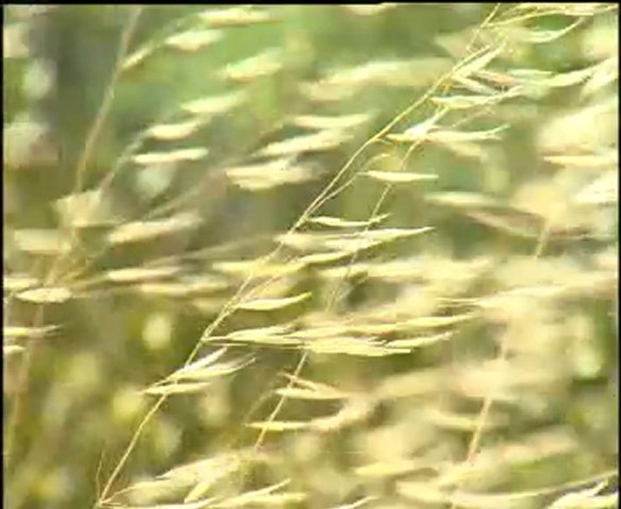 Kırık Mızrap Klipleri 16 - Atlastan Cepkenli Yiğit Akıncı