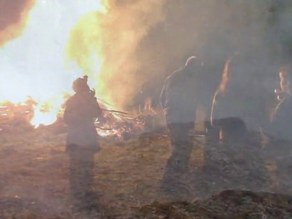 Voeux 2009